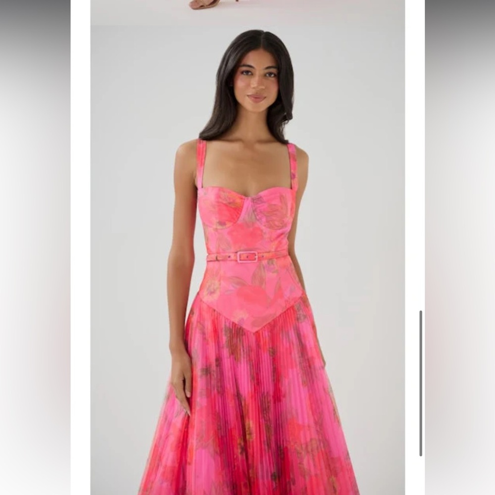 Hutch Lanie pink spanish floral tulle belted maxi gown dress size small NEW - Picture 7 of 8